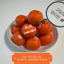 오렌지푸드 | 부산 롯데백화점 본점 골사장푸드 만다린 8900원 가성비 과일 내돈내산 구매후기