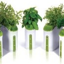 가득한정원 이미지