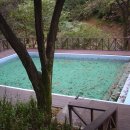 청평자연휴양림 이미지