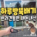 뚝배기식당 | 경주 하동 하루방뚝배기 반려견동반식당 내돈내산 후기