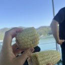 사량면사무소 | 통영 사량도 등산코스⛴️ 수우도전망대➡️지리산➡️달바위➡️가마봉➡️옥녀봉