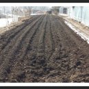 새봄농장(2) 이미지