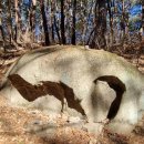 팔공산올레길 7코스 이미지