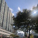 다온소아청소년과의원 이미지