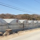 미소육묘장 이미지