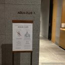 아쿠아클럽 | 정선 파크로쉬 아쿠아클럽 시설 후기｜자쿠지·수영장·불멍까지