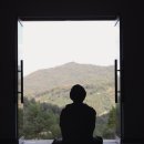 담박 경향신문