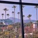 베메로