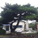 대마보건지소 이미지