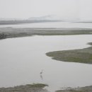 함평해수찜 이미지