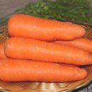 자연대로 이미지