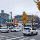 신거북시장(7) 이미지