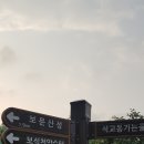 보문산 약국 이미지