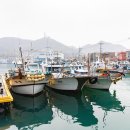 벌안 물량장 공중화장실 | 추자도 숙소 카페까지 함께하는 멋진 공간