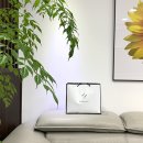 브라렛추천 <b>어도러블</b><b>유</b>(Adorableyou), 신혼부부 선물로 이만한게 없네❤️