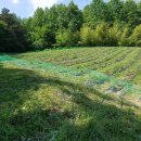 범당골농장 이미지