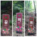 2024년 9월 26일(물깨말 구구리길) 이미지