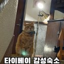 문화재 법령을 통해서 보는 우리의 문화재 이야기 | 대만 유형문화제 타이베이 감성 숙소 오리진 스페이스(OrigInn Space)