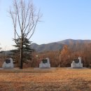신녕면-성환산공원-1