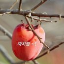 가수마을복지회관 이미지