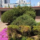 철원정비타운 이미지