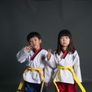 더스페셜 태권도장 이미지