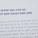 모월모일 이미지