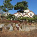 정원이 아름다운 집 이미지