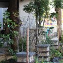 로타리게임장 이미지