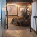 종로국수 - 중구 중앙대로77길 12-1 | 종로국수