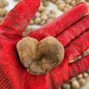 다음 20년, 당신의 도전은 무엇입니까? | 기분에 따라 바뀌는 마음가짐이라면 그건 너무 가벼운 거 아닌가?