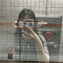 한국생산성본부 18시간 교육 후기 (페이코, 식당추천, 카페)