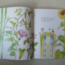 참사이언스 이미지