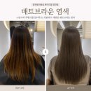 로이드밤 장안점 | 장안동미용실 로이드밤 장안점 매트브라운 염색 후기