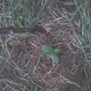 한수농장 이미지