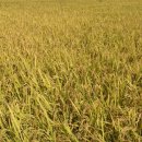 성림농원 이미지