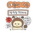 사실 내 최애 계절은 가을