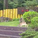 붉은오름자연휴양림2 이미지