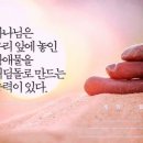 디딤돌 Daum카페