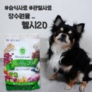 [반려견 사료] 장수원몰 헬시20 수제습식 관절사료 - 강아지사료