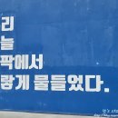 (주)씨스페이시스 삼성1점 | 삼성라이온즈파크 스카이블루존 U-20구역 12열 시야 및 삼성 vs 한화 경기 후기 (Feat. 라팍 스카이 시야)