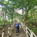 해파랑길 48,49,50 코스 후기 이미지