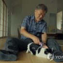 엠프로젝트