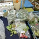 덕평목장 이미지