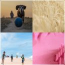 동양한의원 이미지