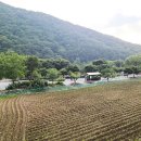 포레스트캐빈앤캠프 네이버블로그