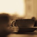 커피바리스타2급(월) 이미지