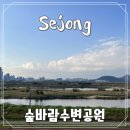 대평동_금강변길 | 숲바람수변공원 대평동 산책코스 | 세종가볼만한 금강뷰공원
