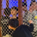 제석태권도 네이버블로그