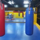 천마 권투 체육관 이미지